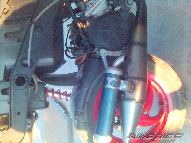 Photo 1359225