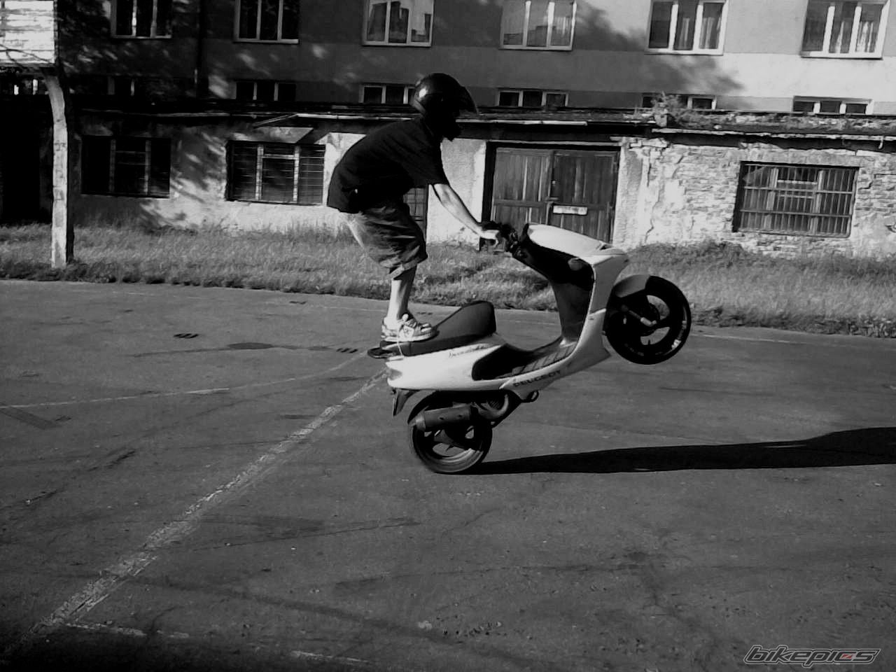 Photo 1359233