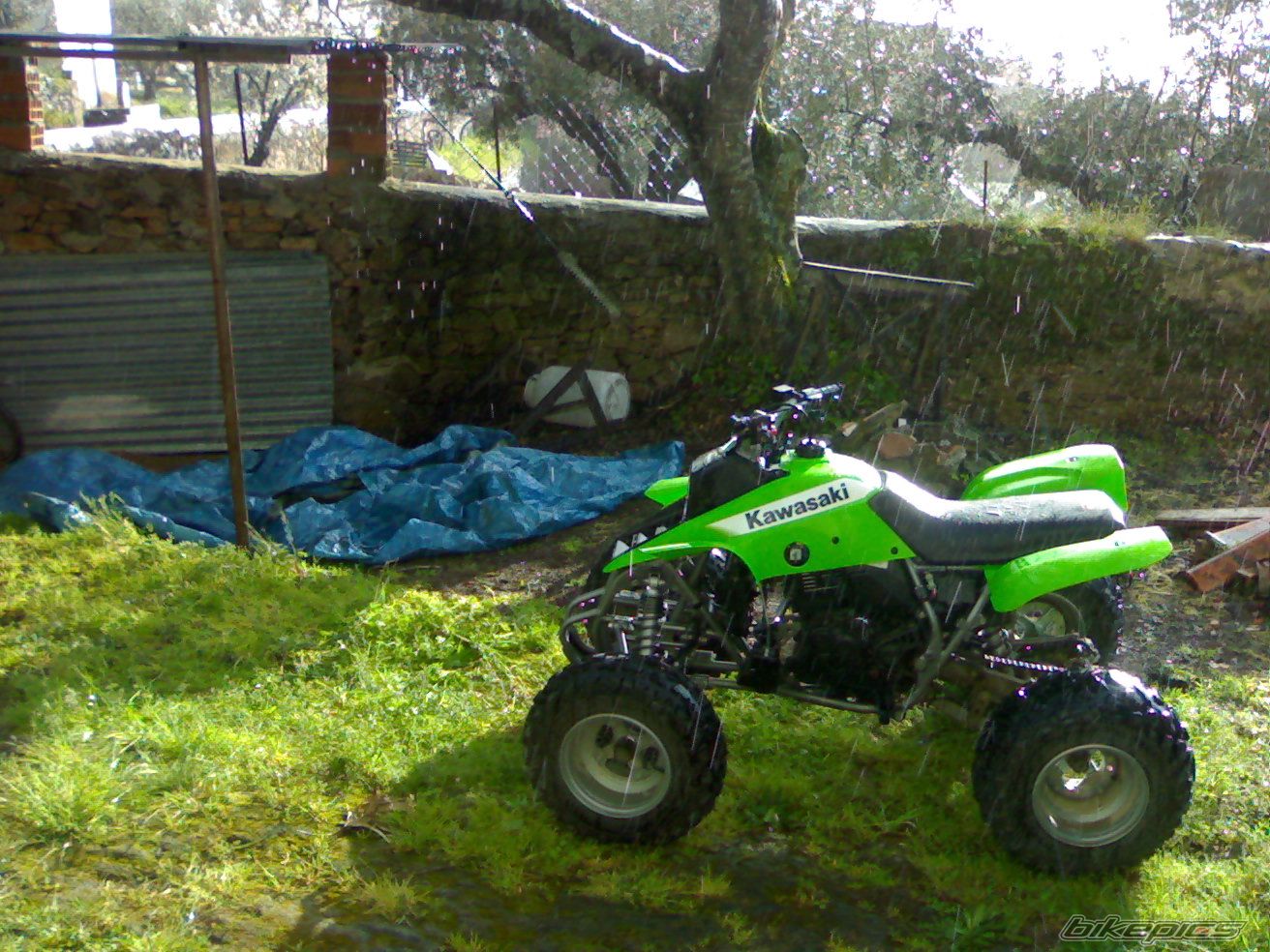 Photo 1359317