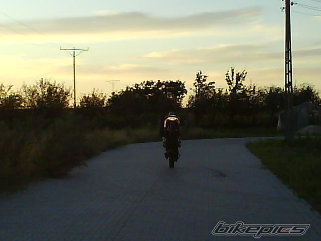 Photo 1359378