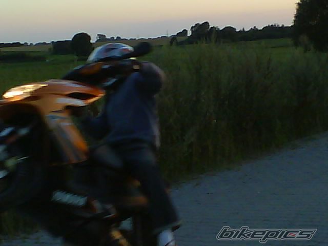 Photo 1359380