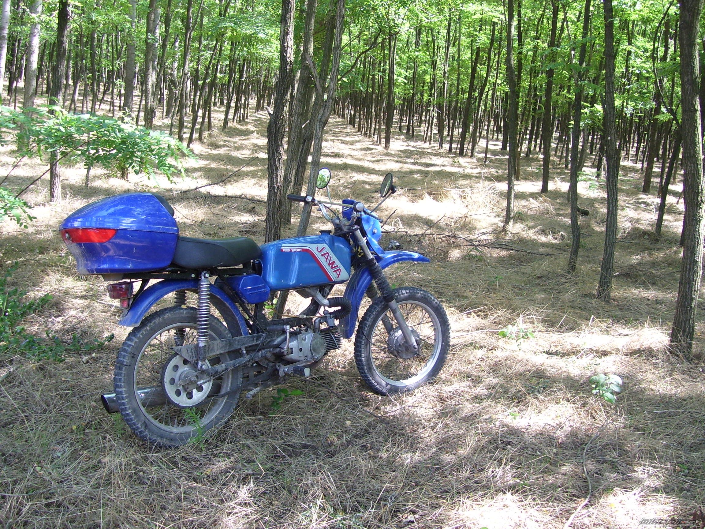 Photo 1359396
