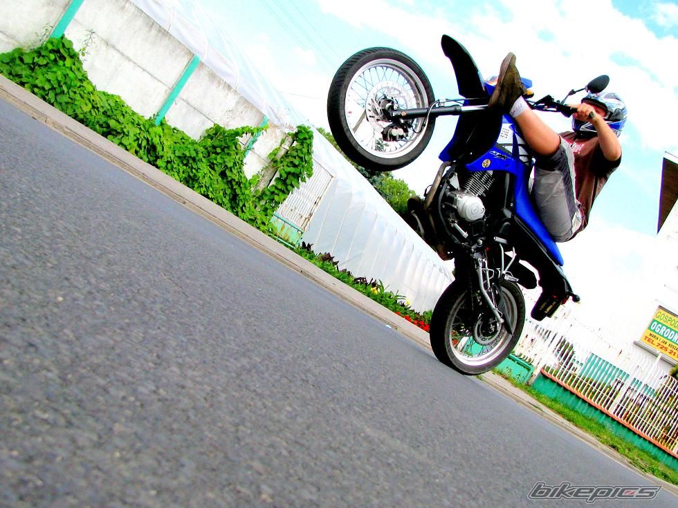 Photo 1359441