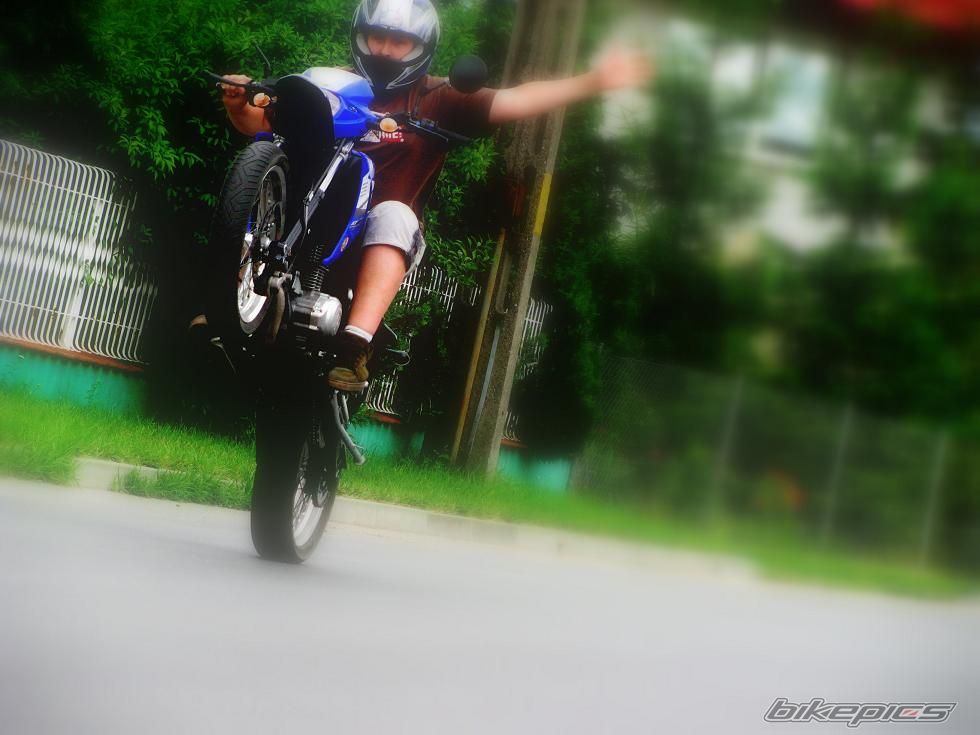 Photo 1359444