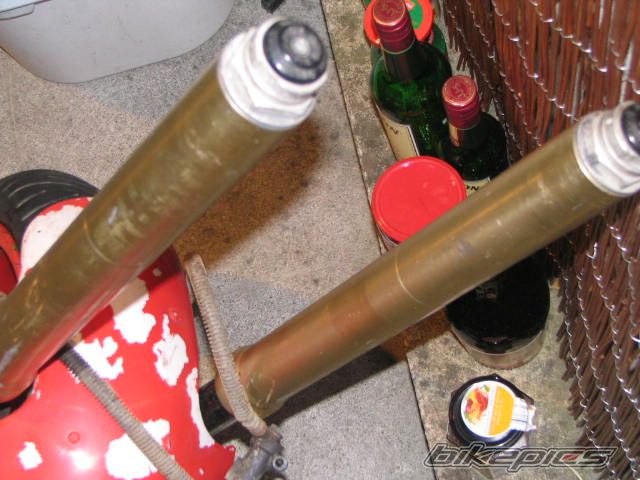 Photo 1359459