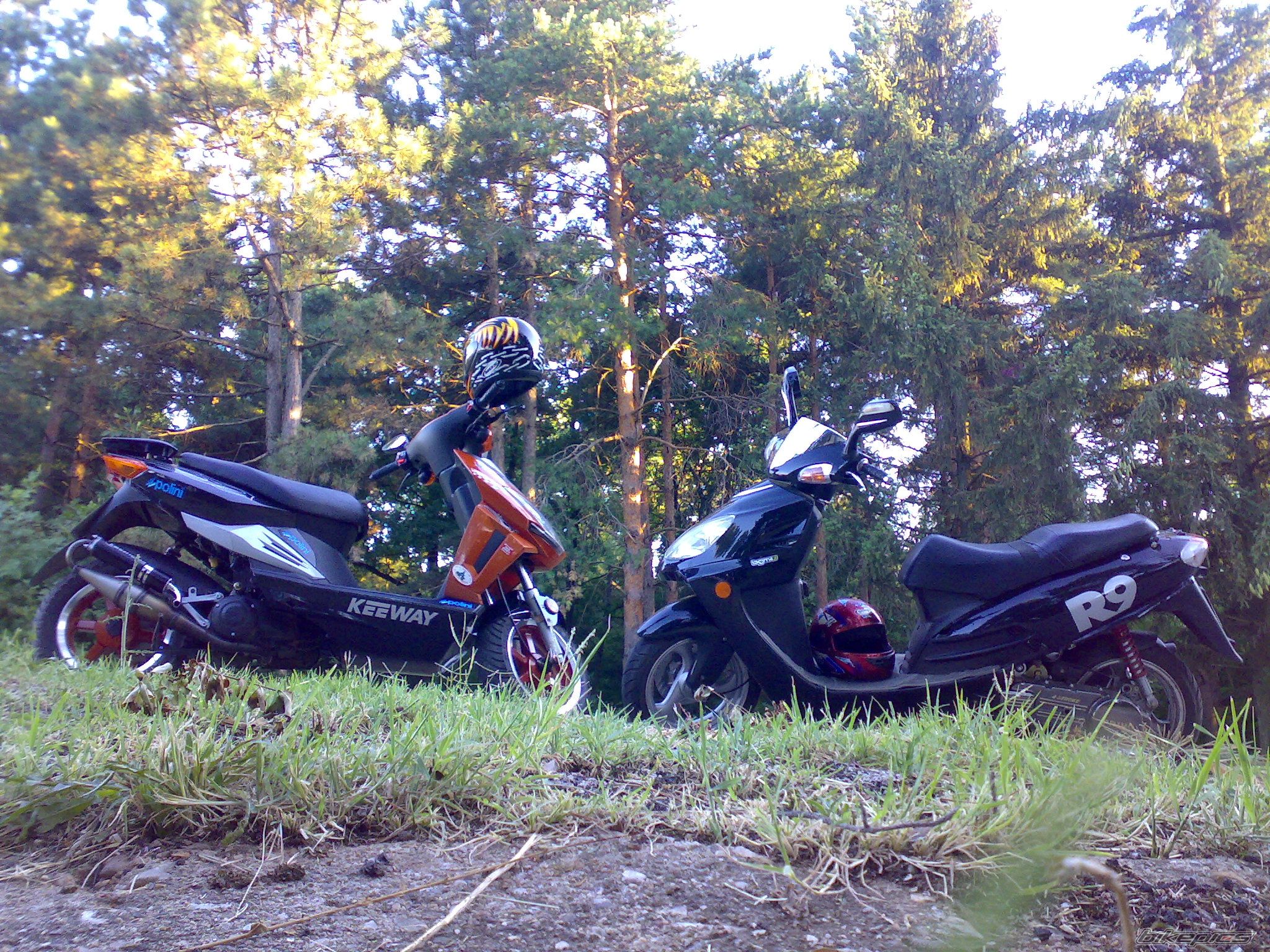 Photo 1359470