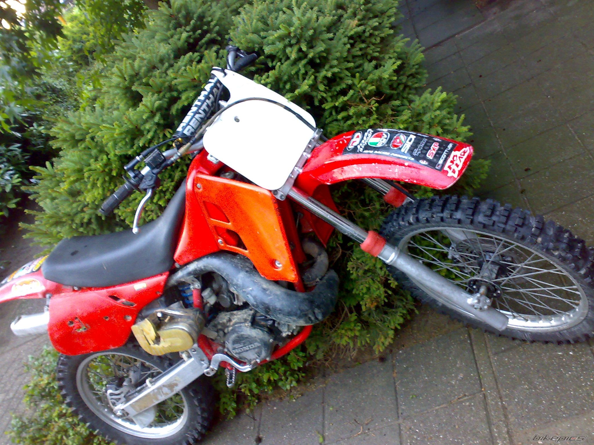 Photo 1359516