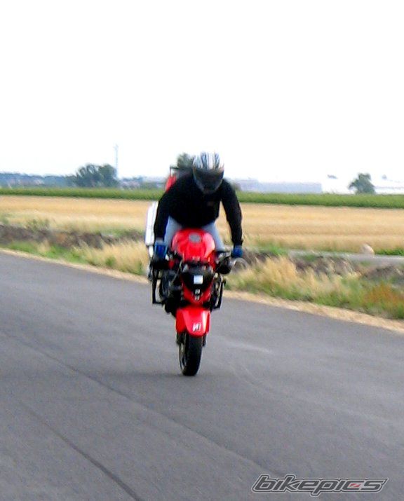 Photo 1359777