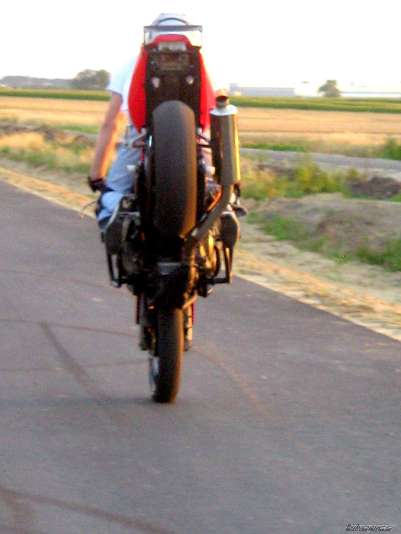 Photo 1359785