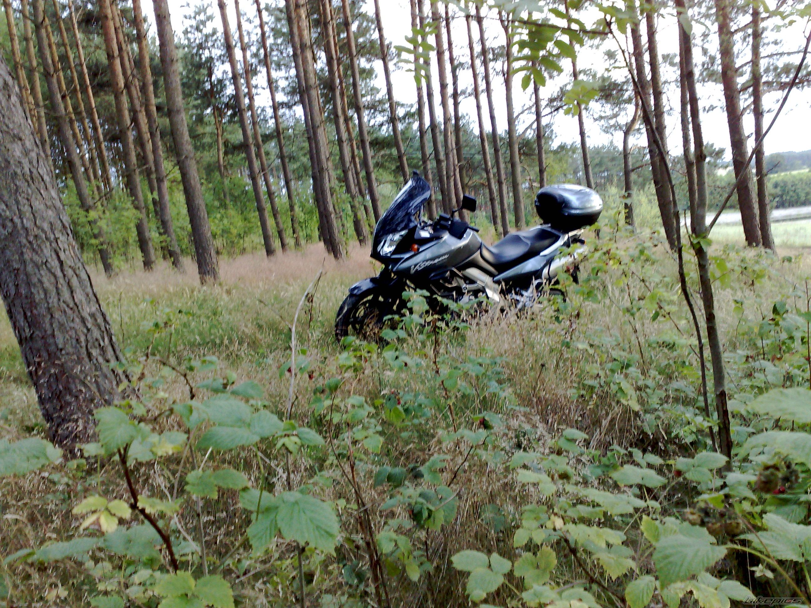 Bike Photo 1359792
