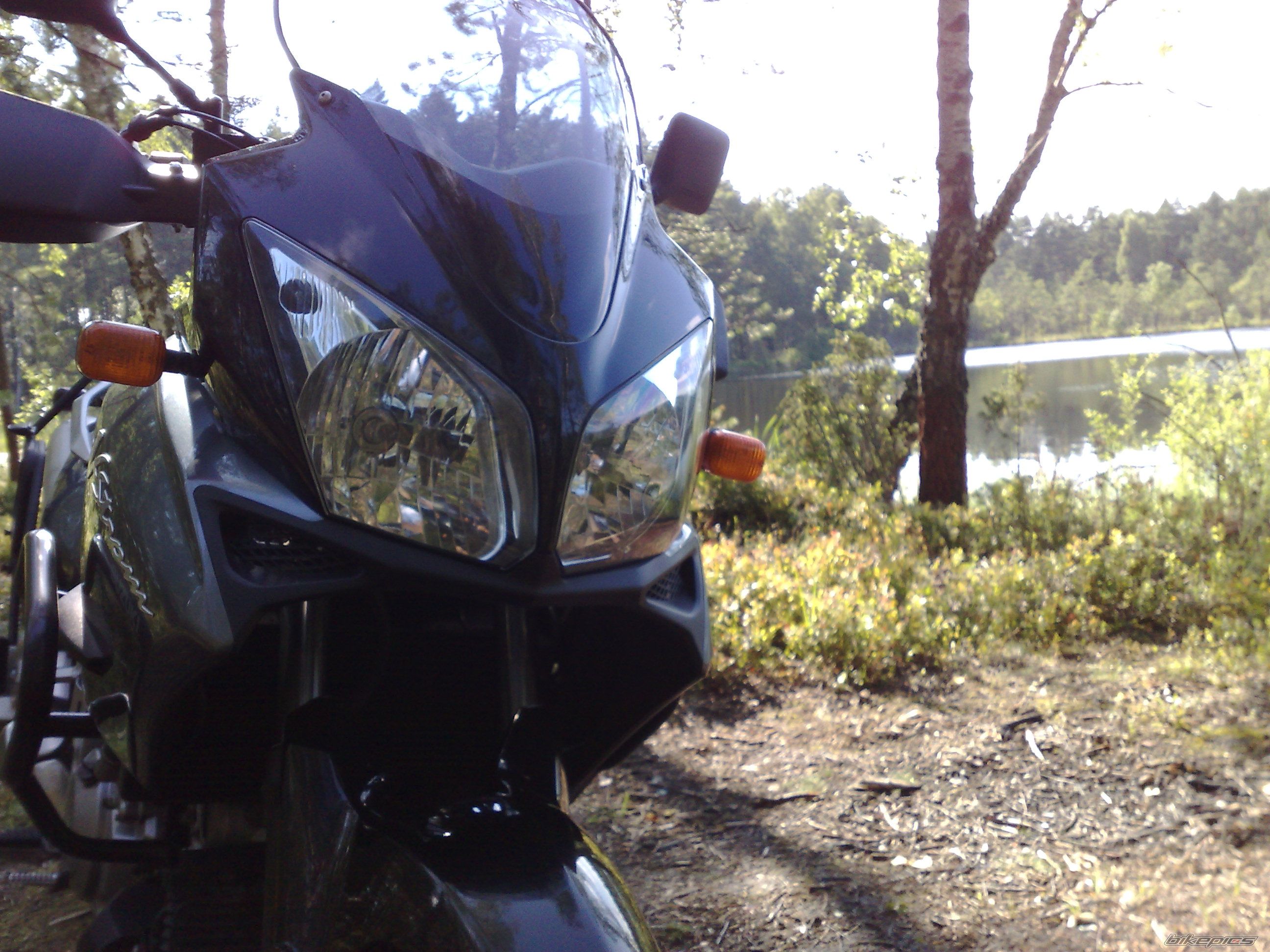 Photo 1359811