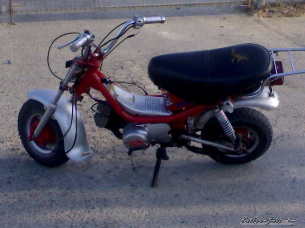 Photo 1359857