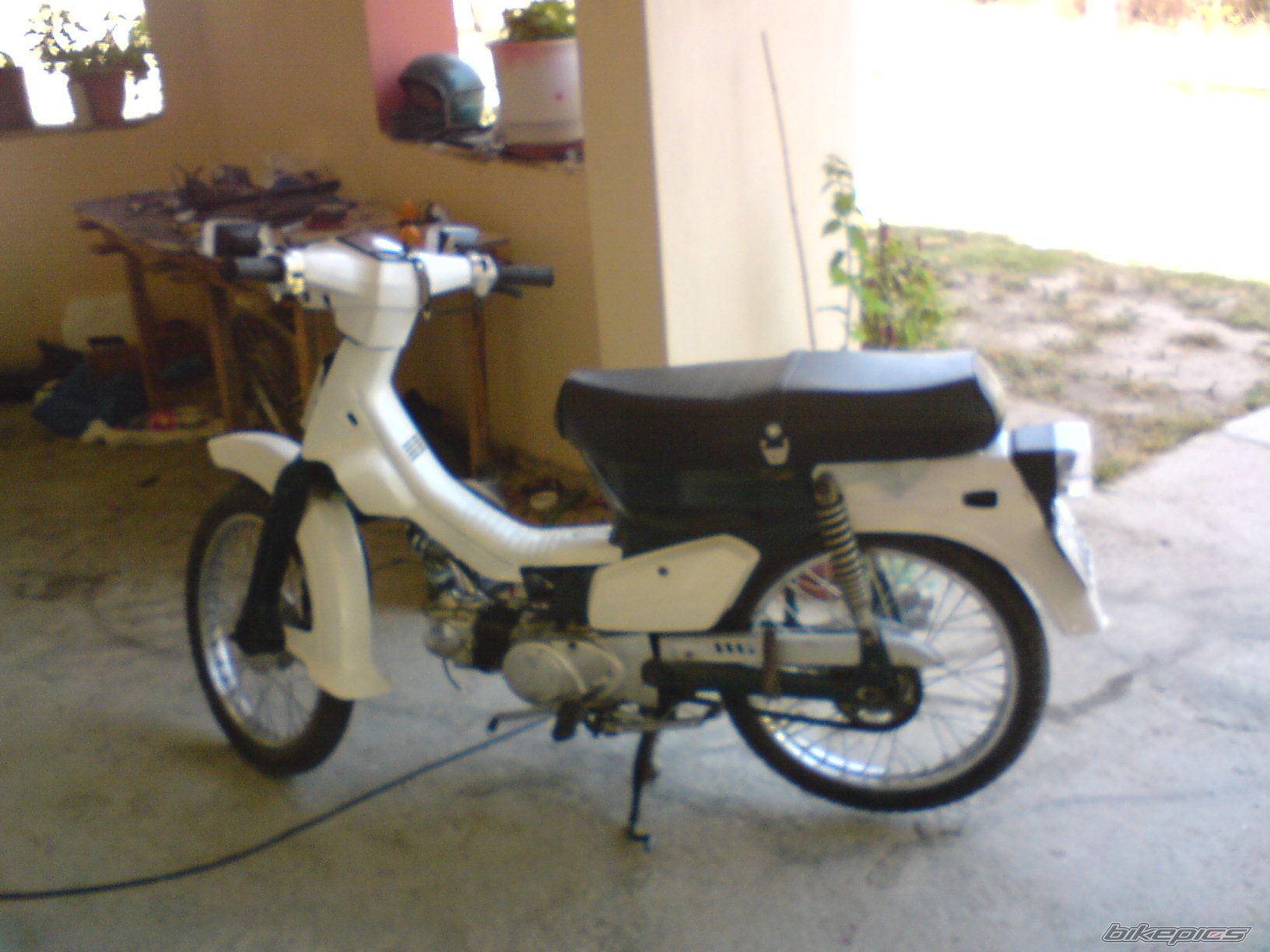 Photo 1359862