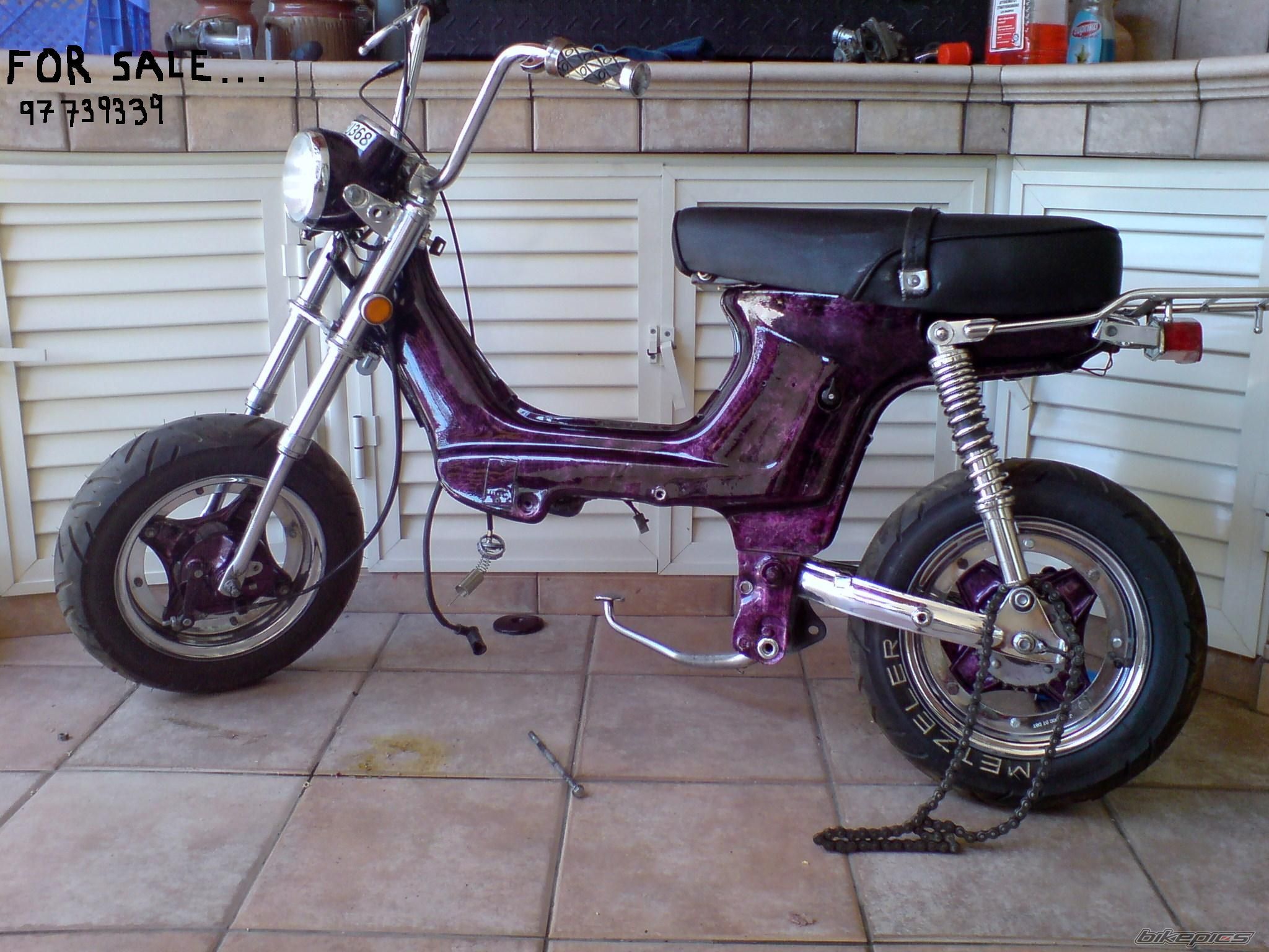 Photo 1359865