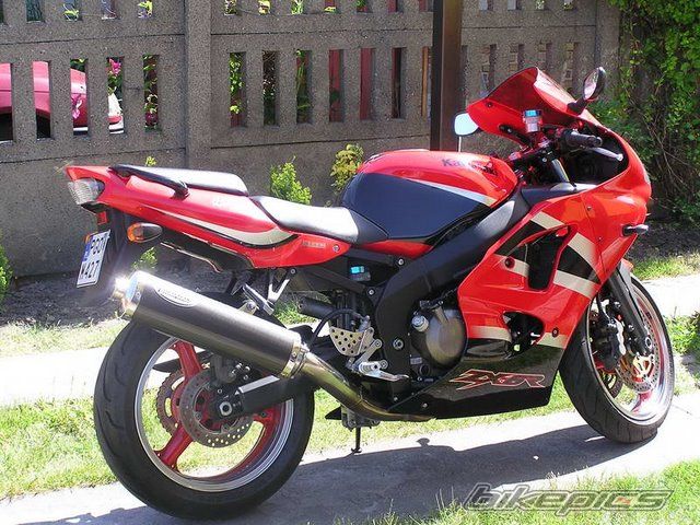 Photo 1359954