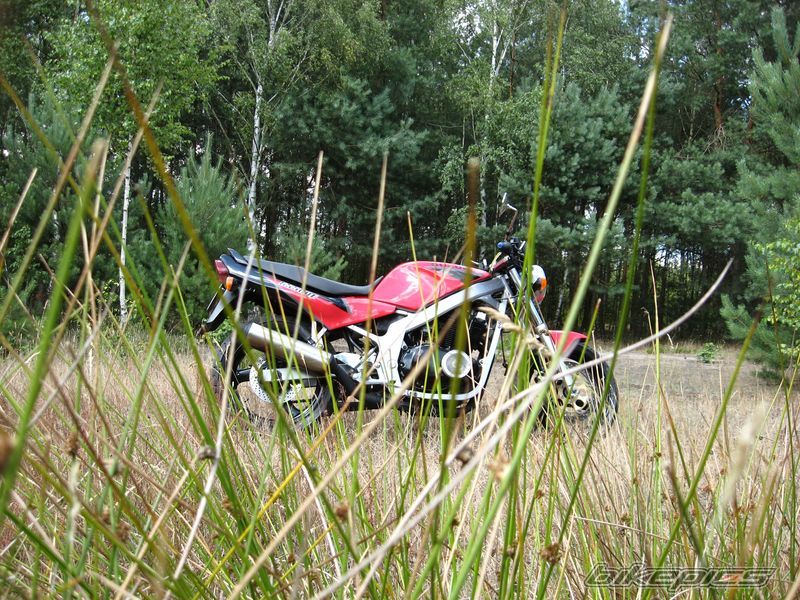 Bike Photo 1360016