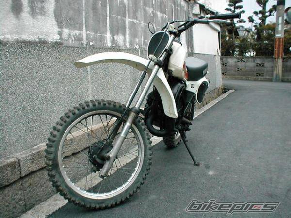Photo 136003