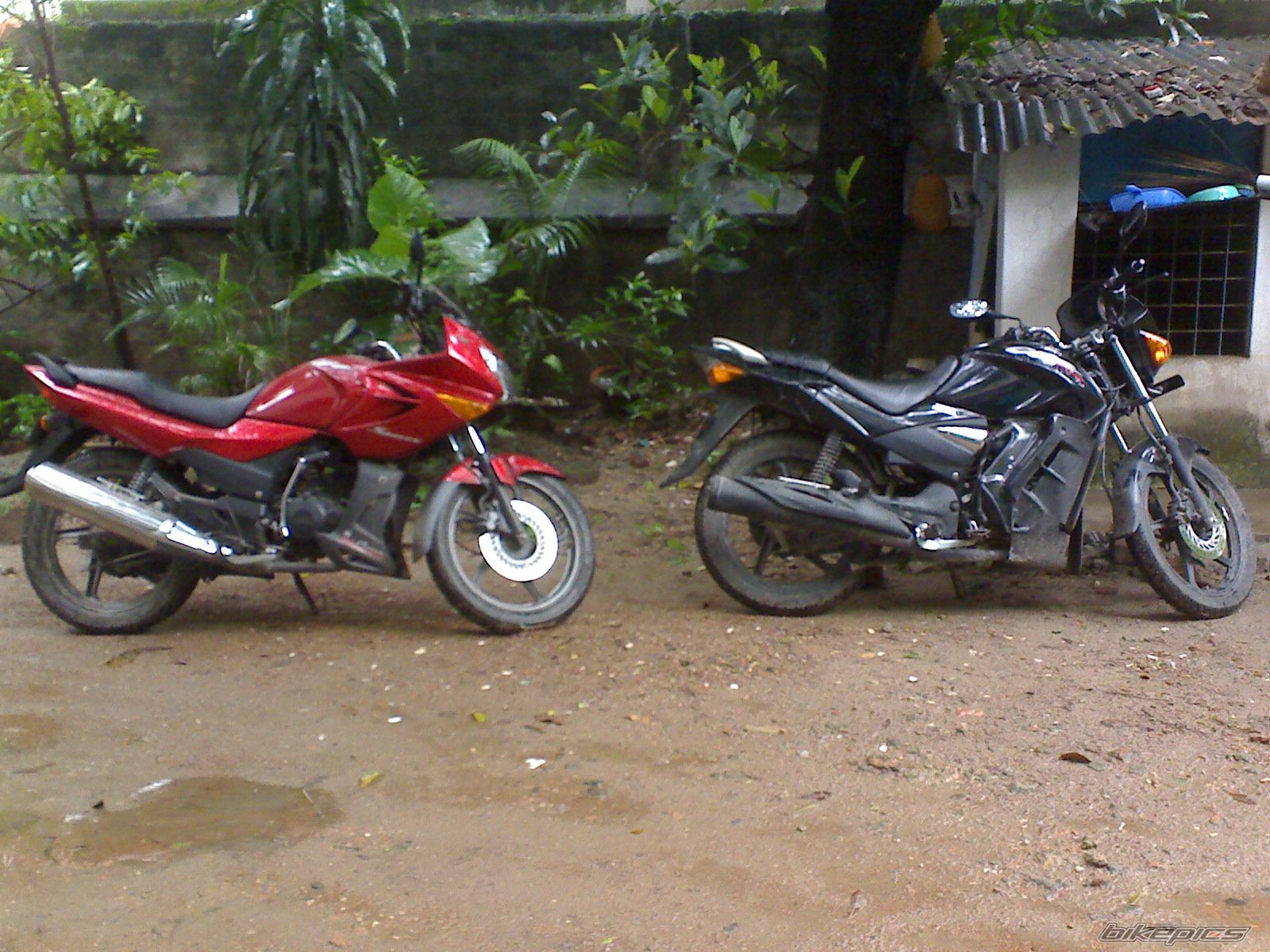 Photo 1360042