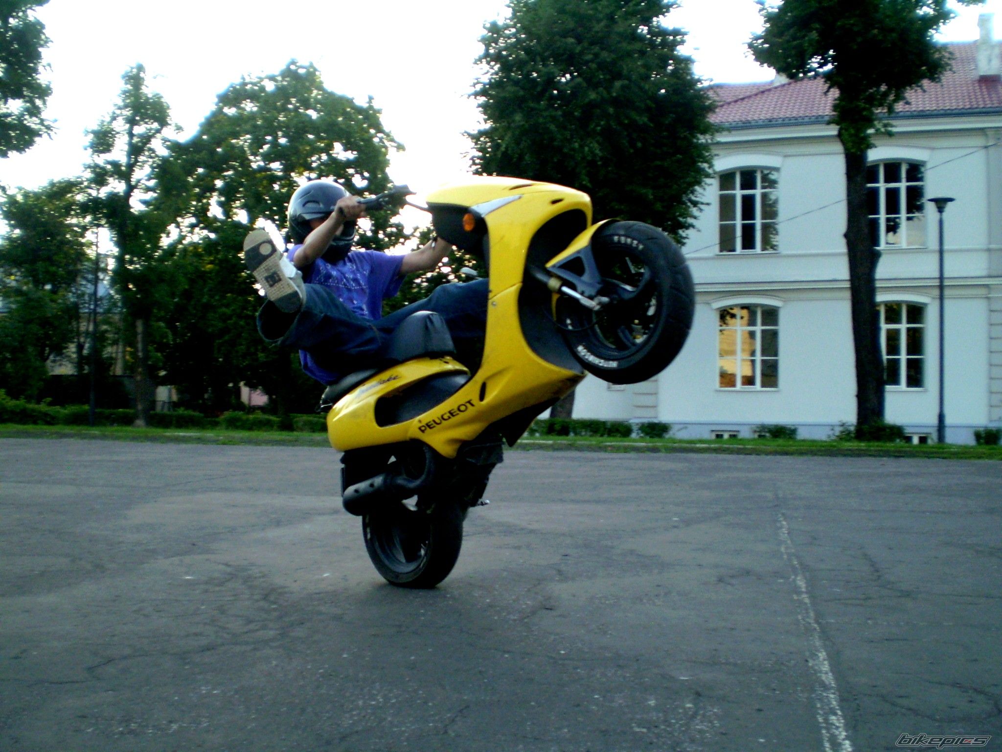 Photo 1360068