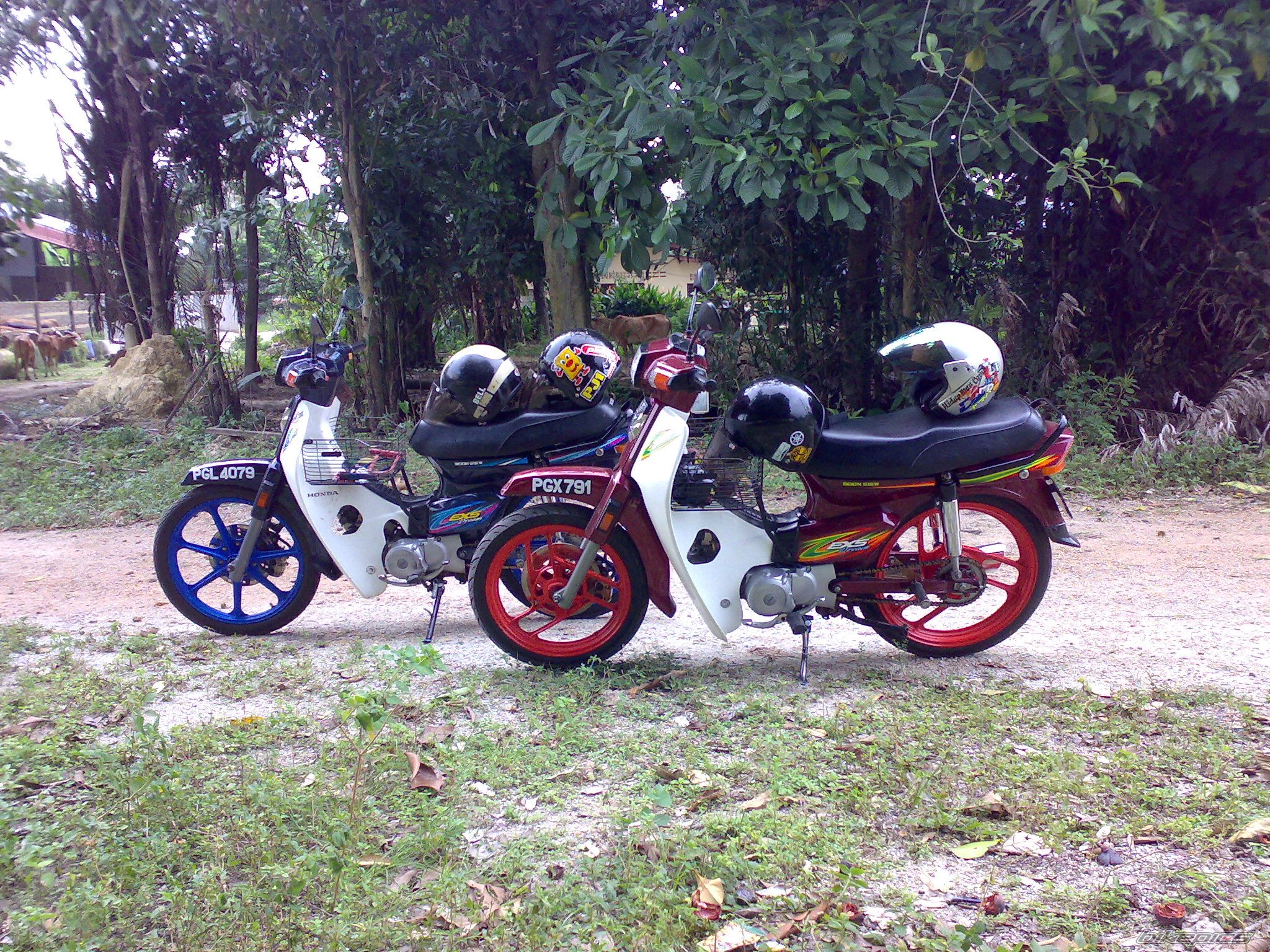 Photo 1360191