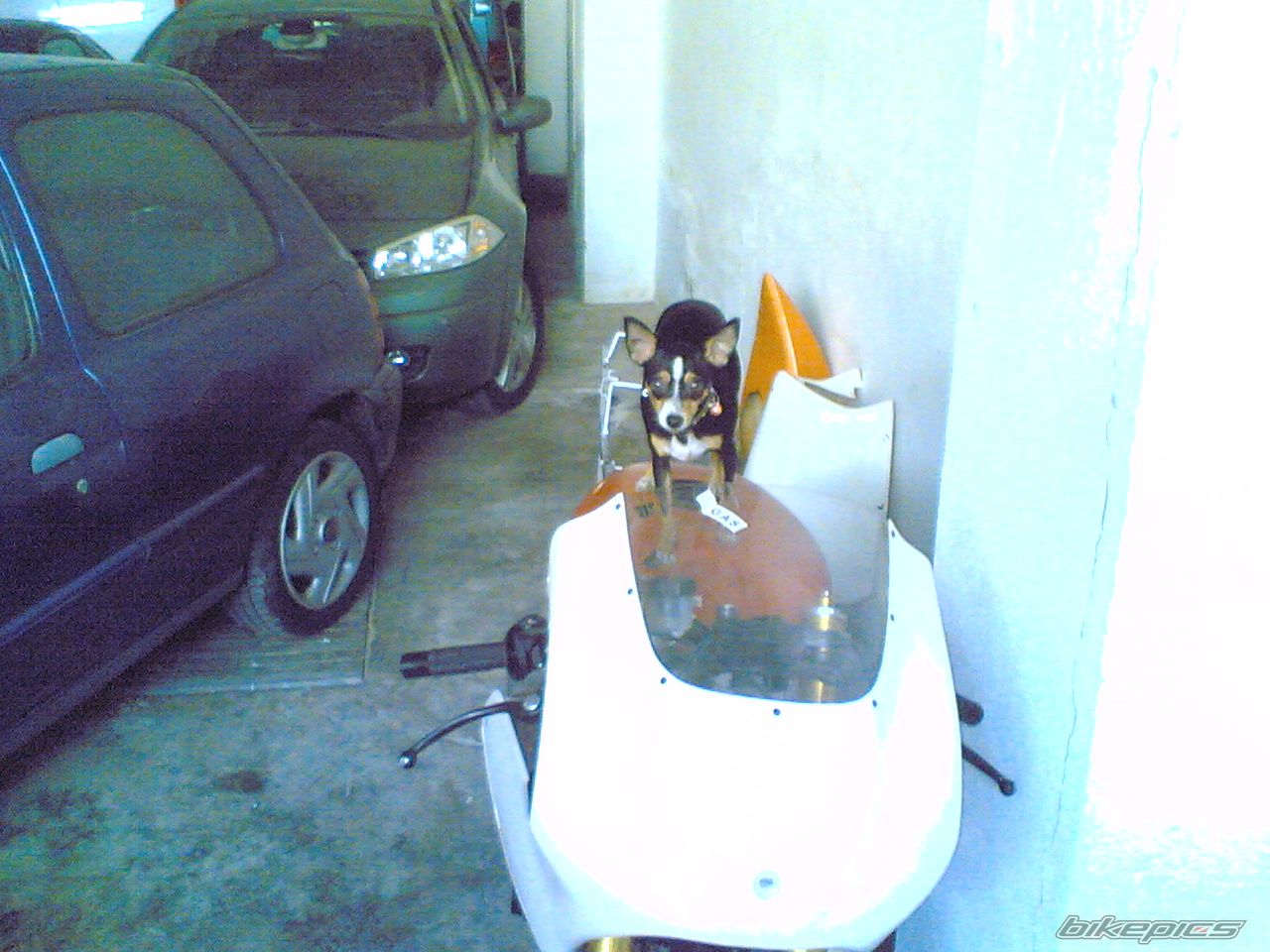 Bike Photo 1360339