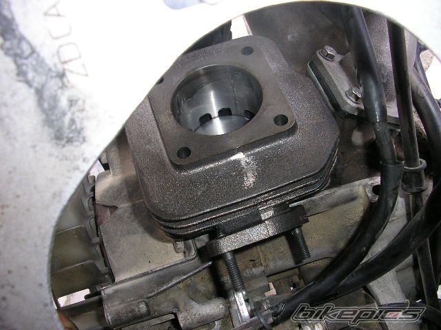 Photo 1360447
