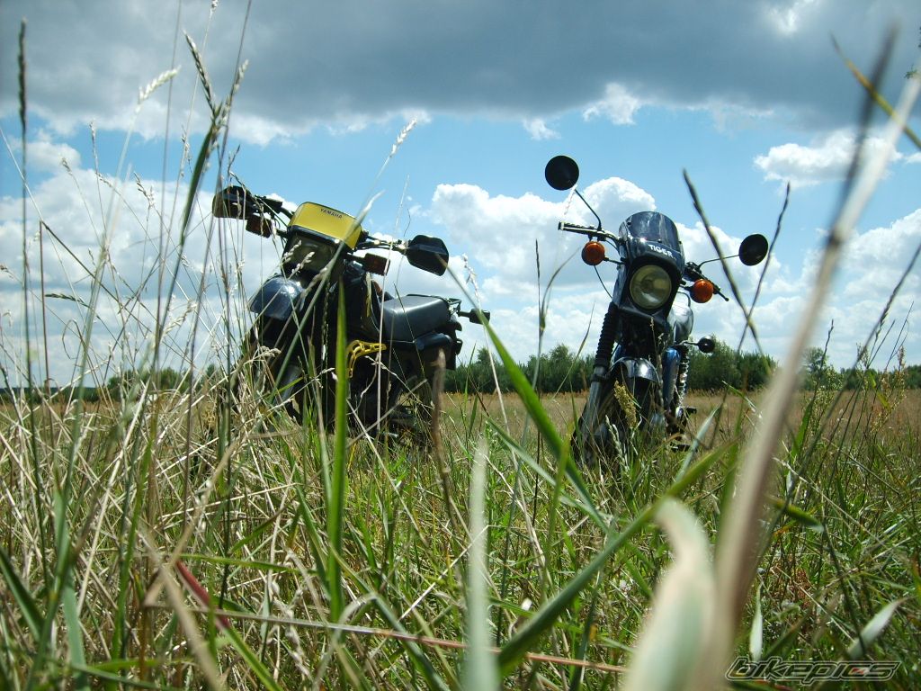 Photo 1360874