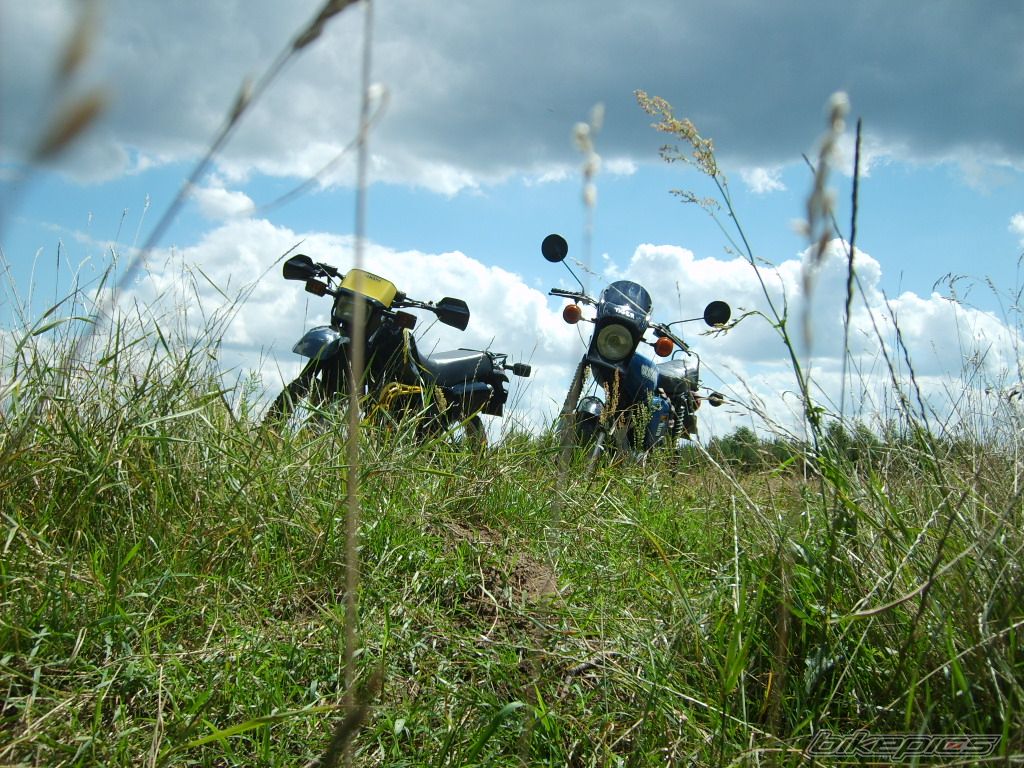 Photo 1360875