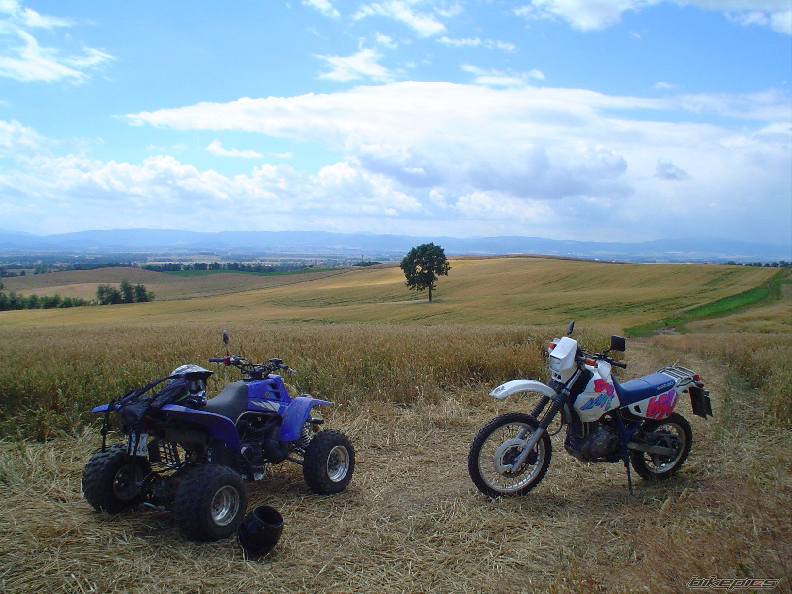 Bike Photo 1361005