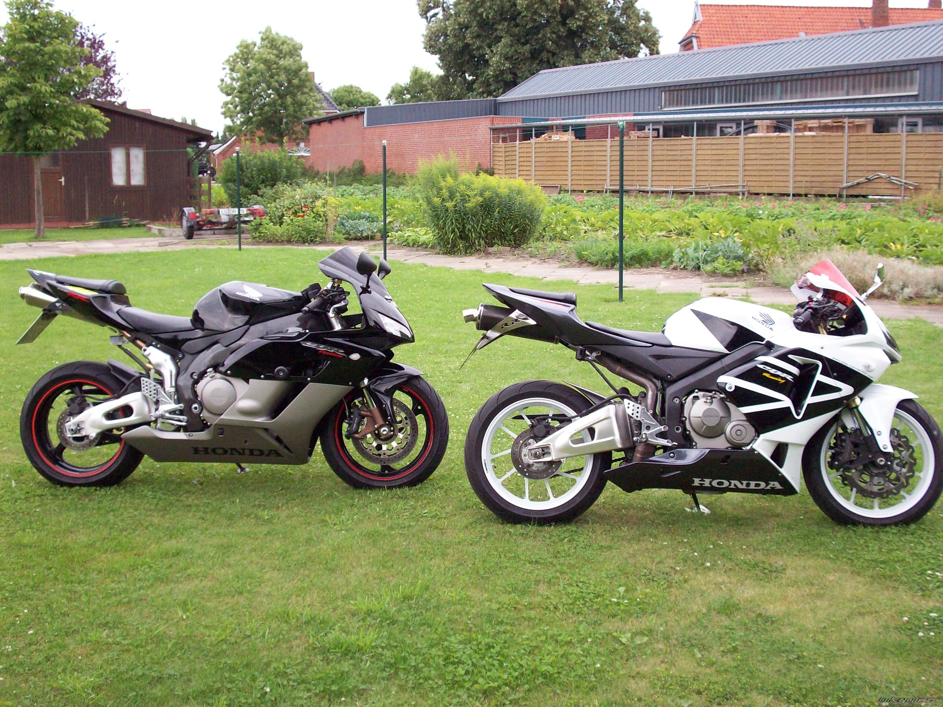 Photo 1361073
