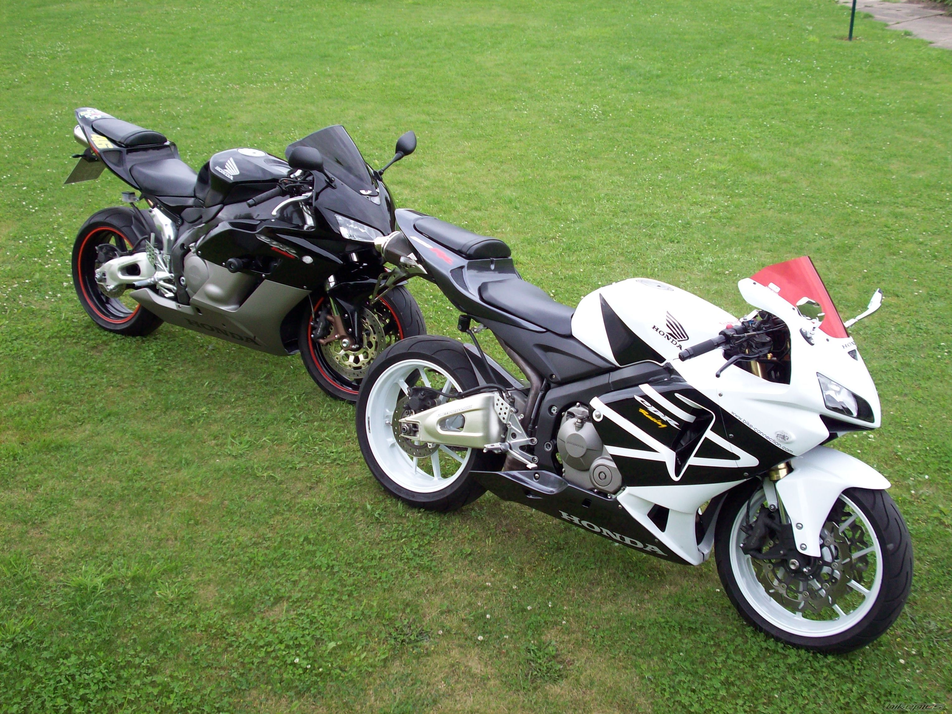 Photo 1361096