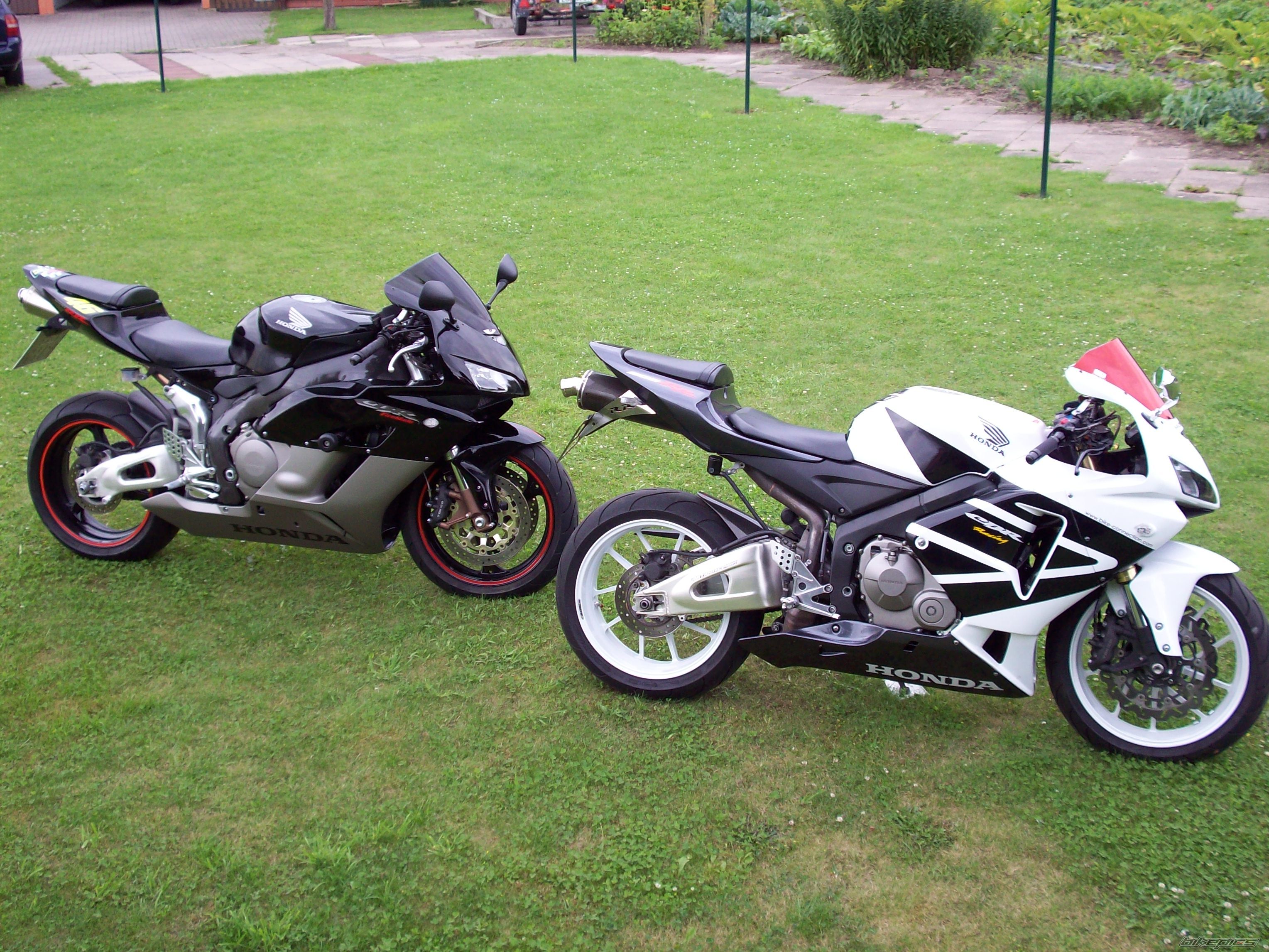 Photo 1361098
