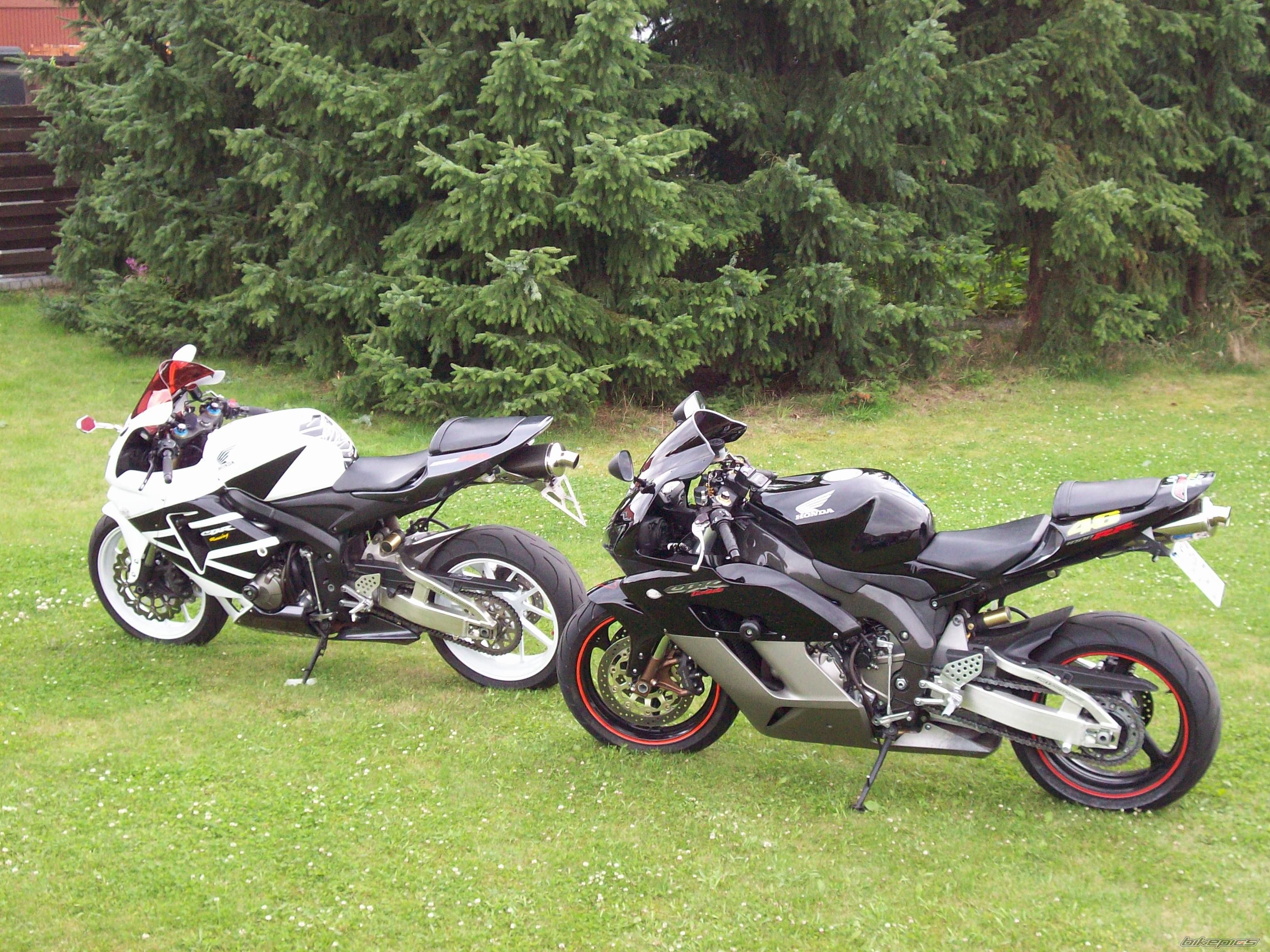 Photo 1361101