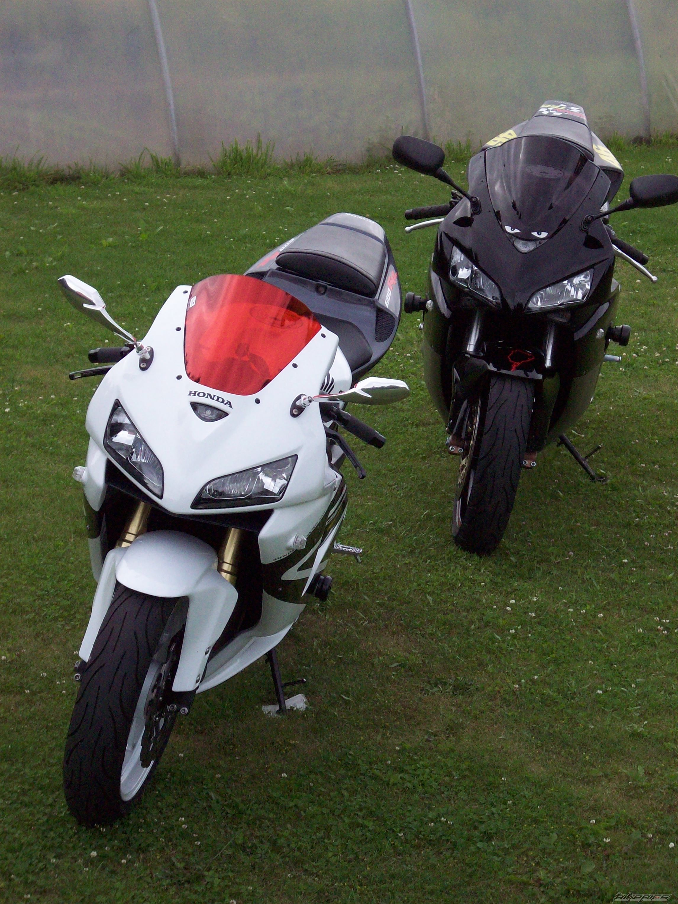Photo 1361102