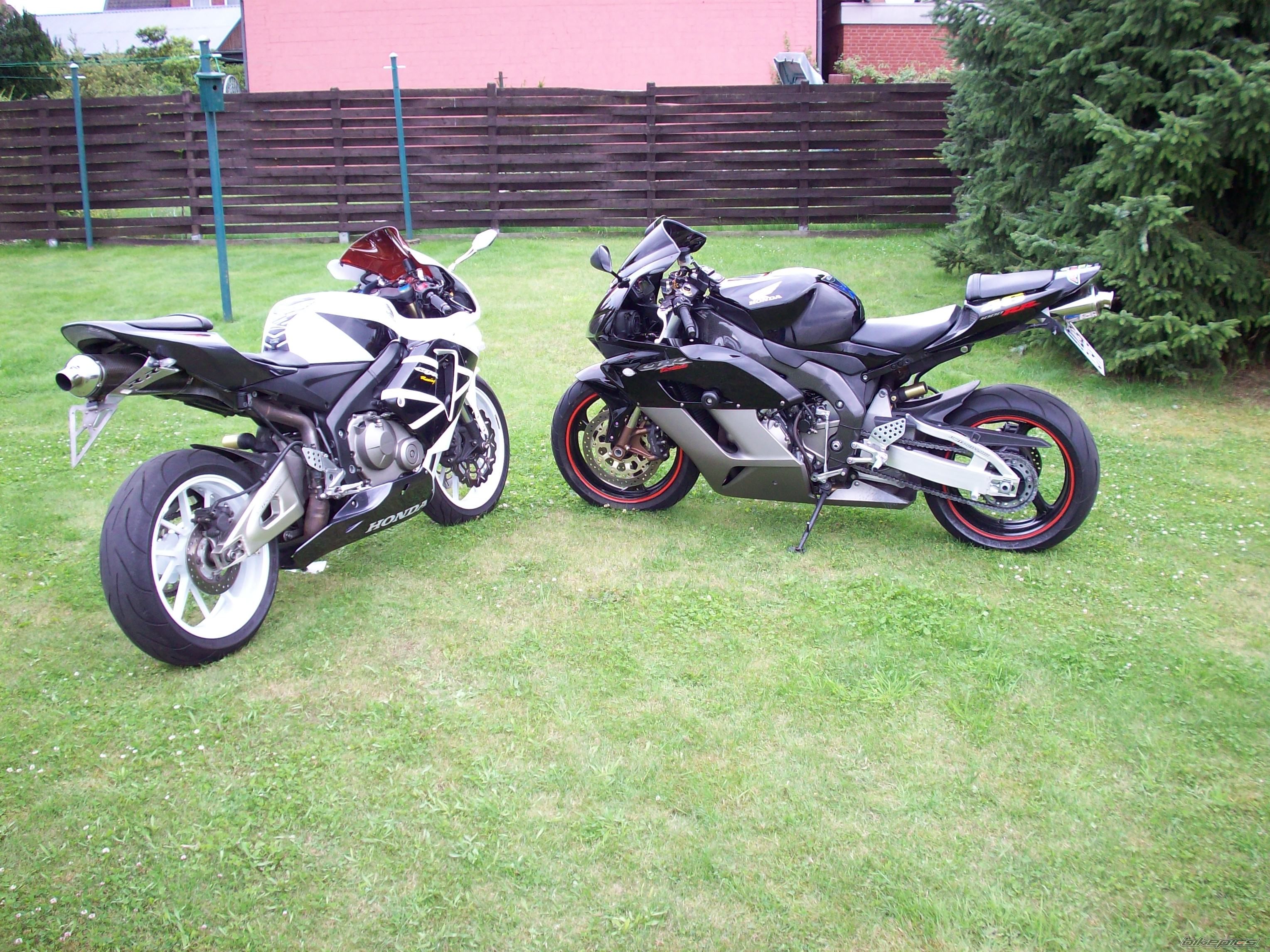 Photo 1361106