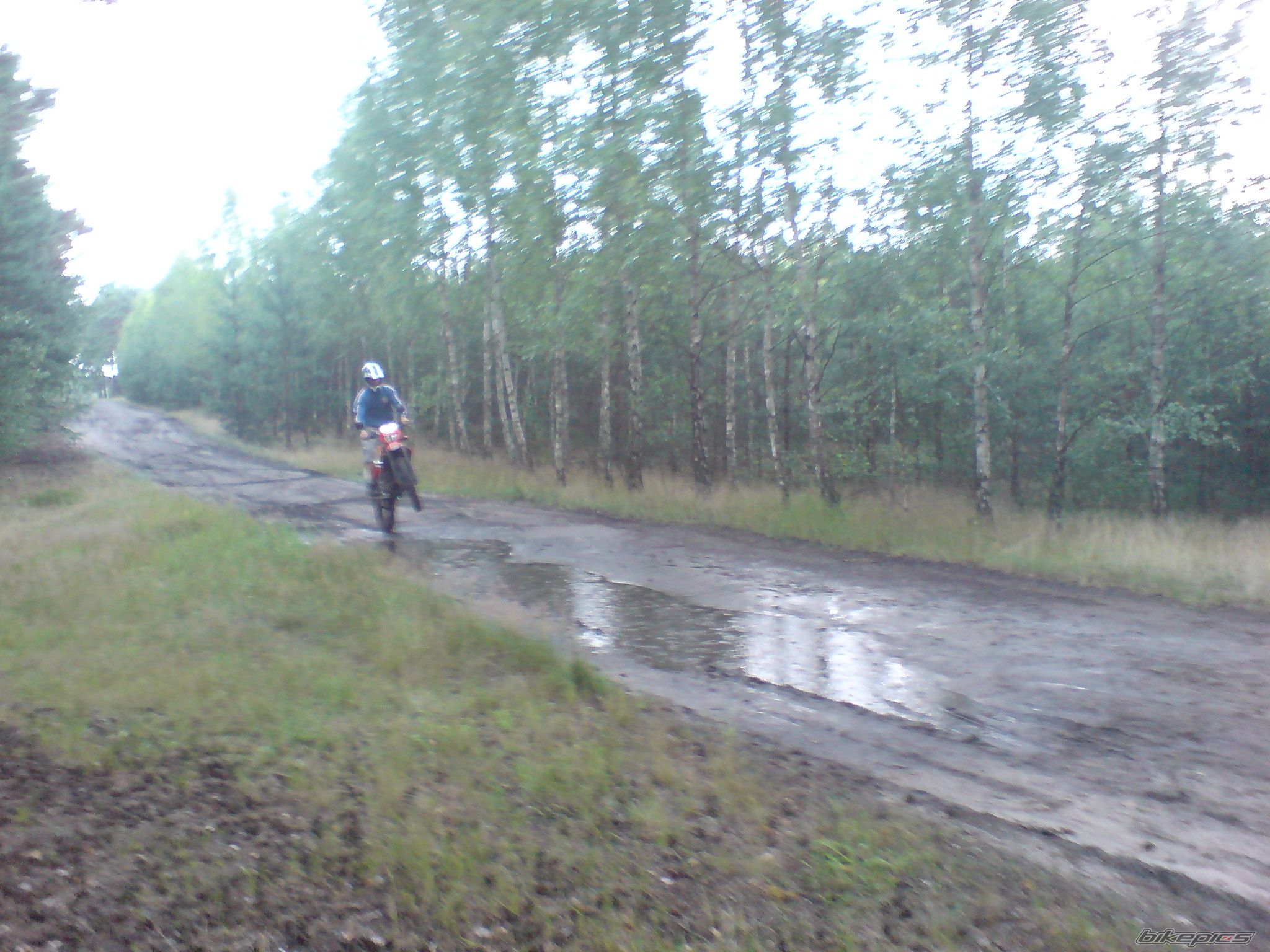 Photo 1361142