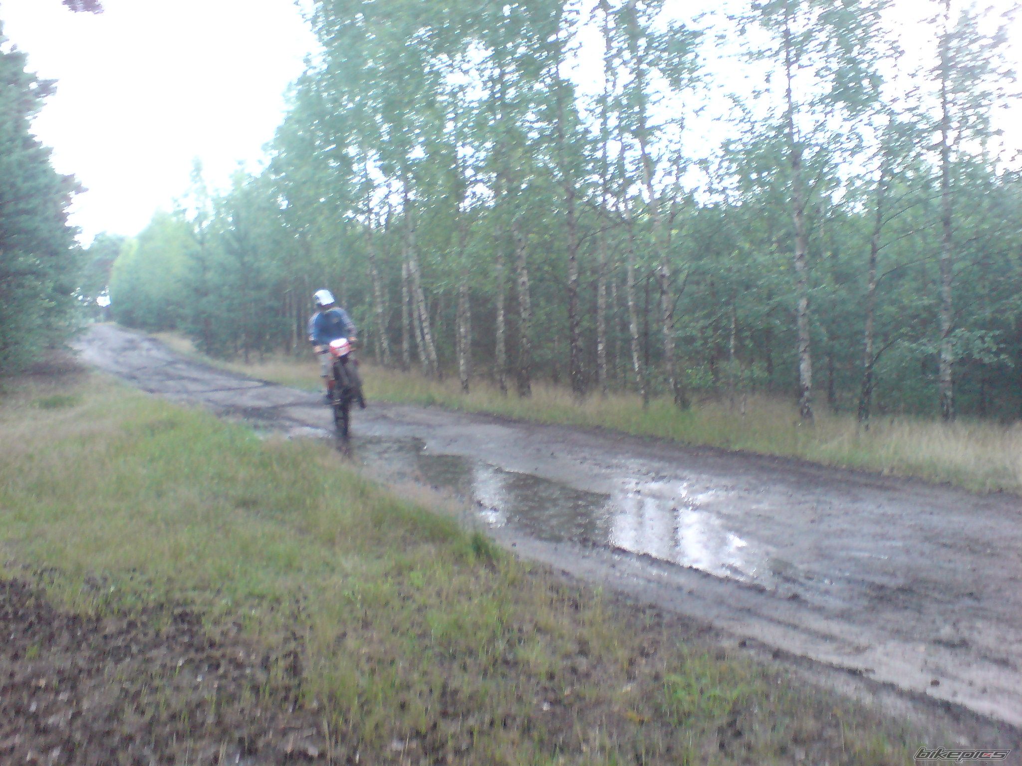 Photo 1361145