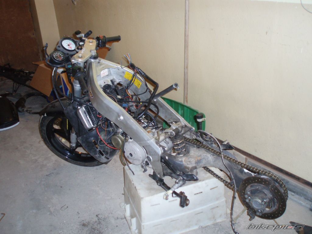 Photo 1361240