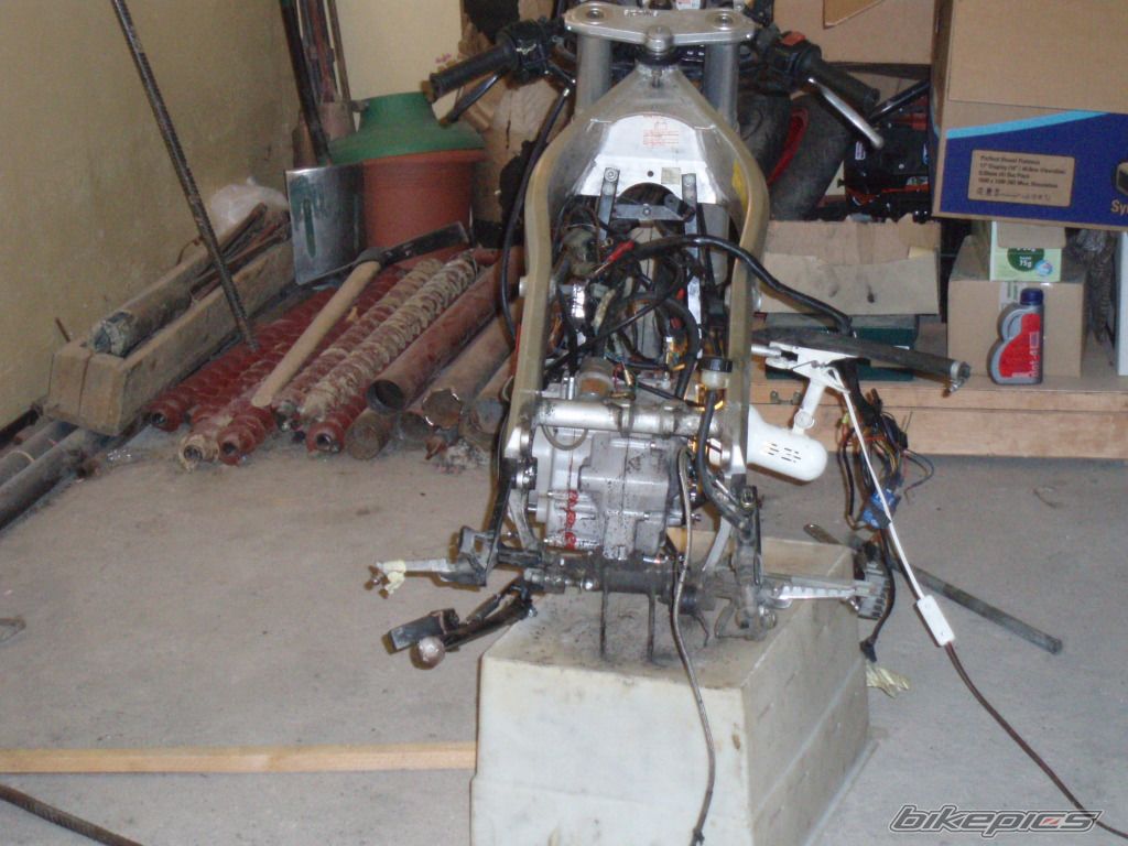 Photo 1361241