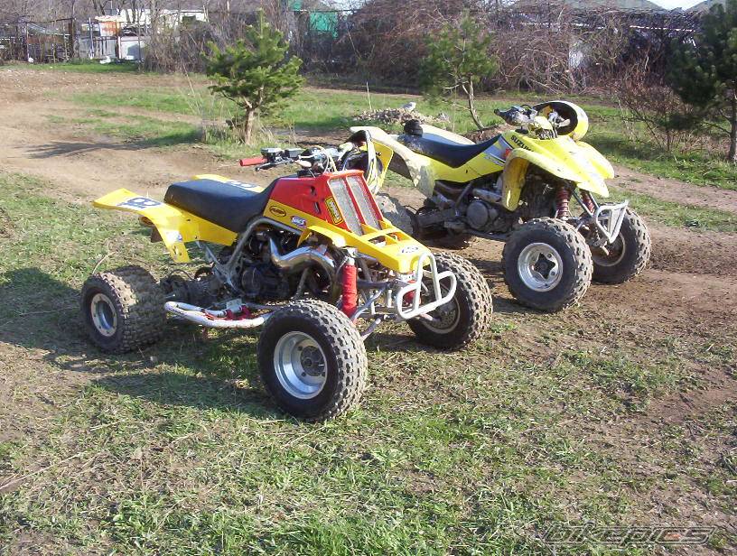 Photo 136142