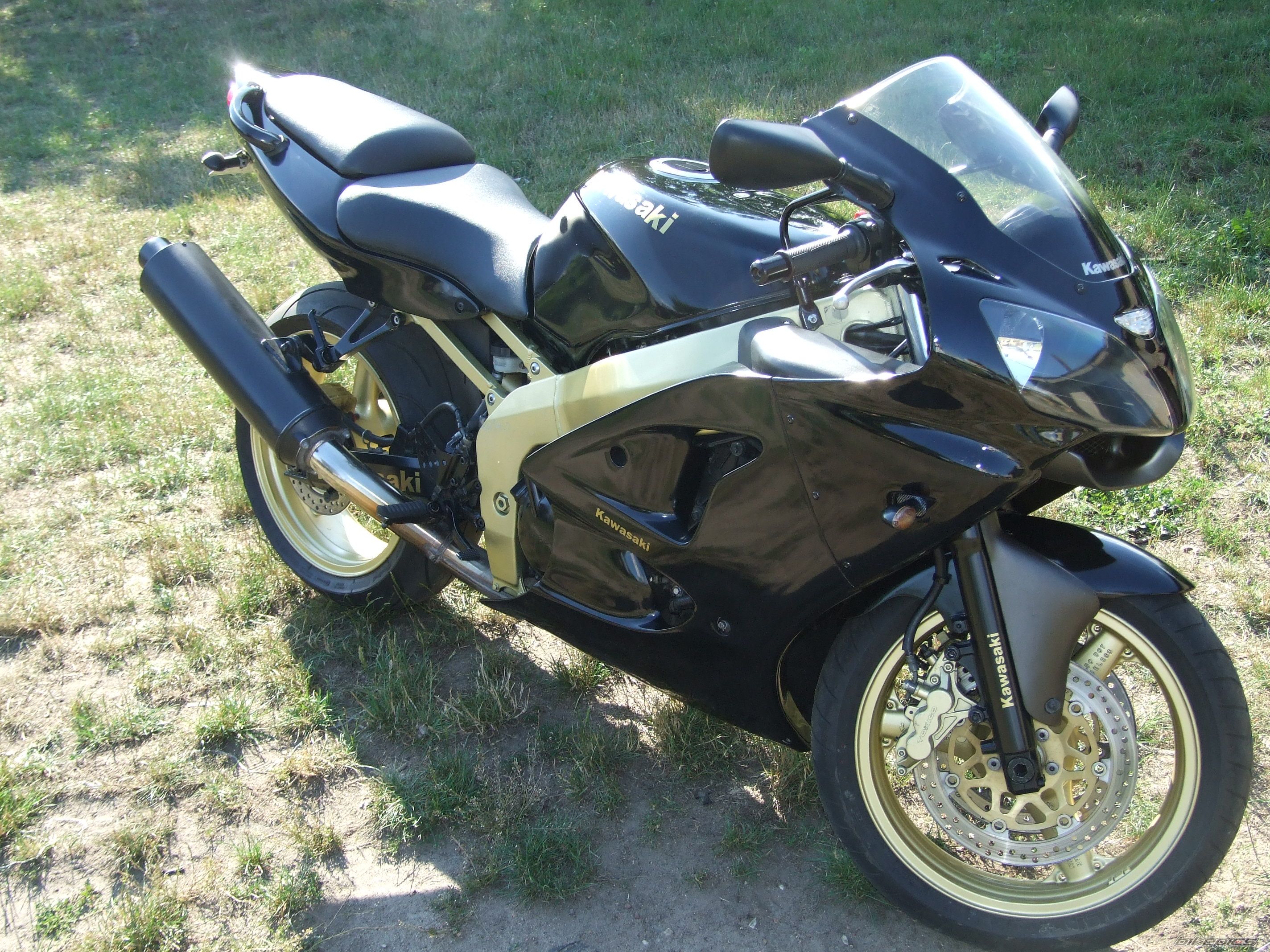 Photo 1361440