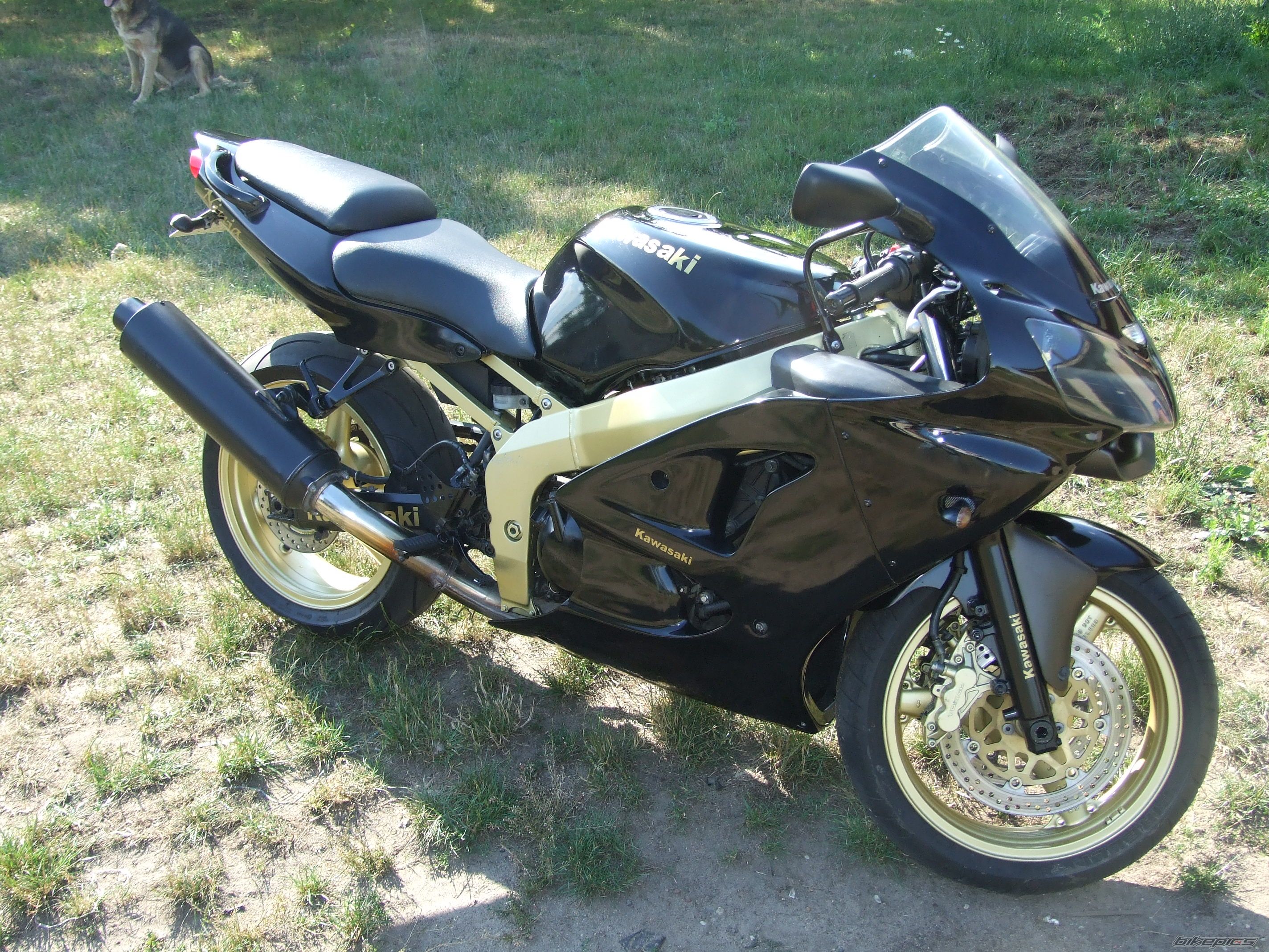 Photo 1361441