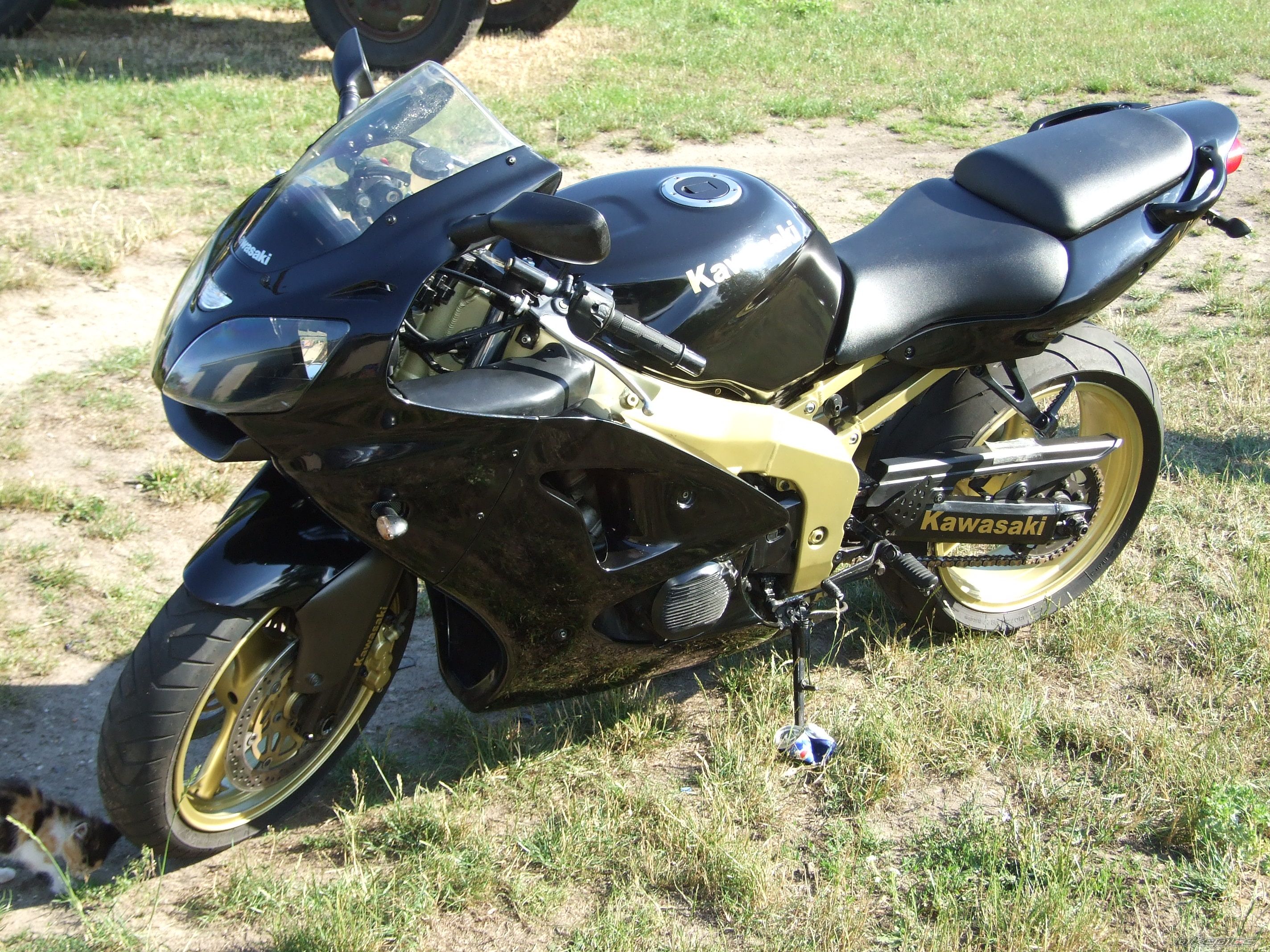 Photo 1361461