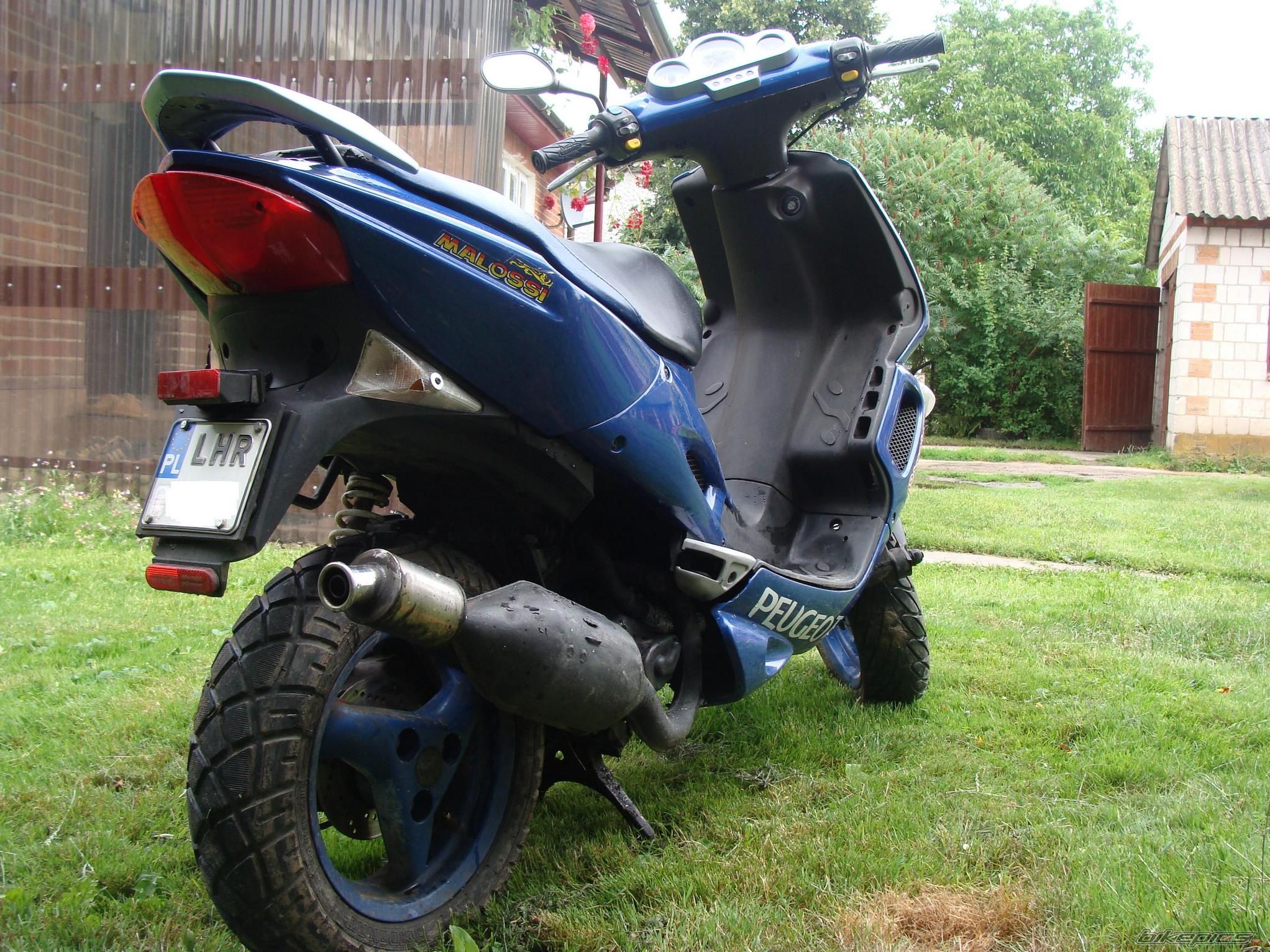 Photo 1361522
