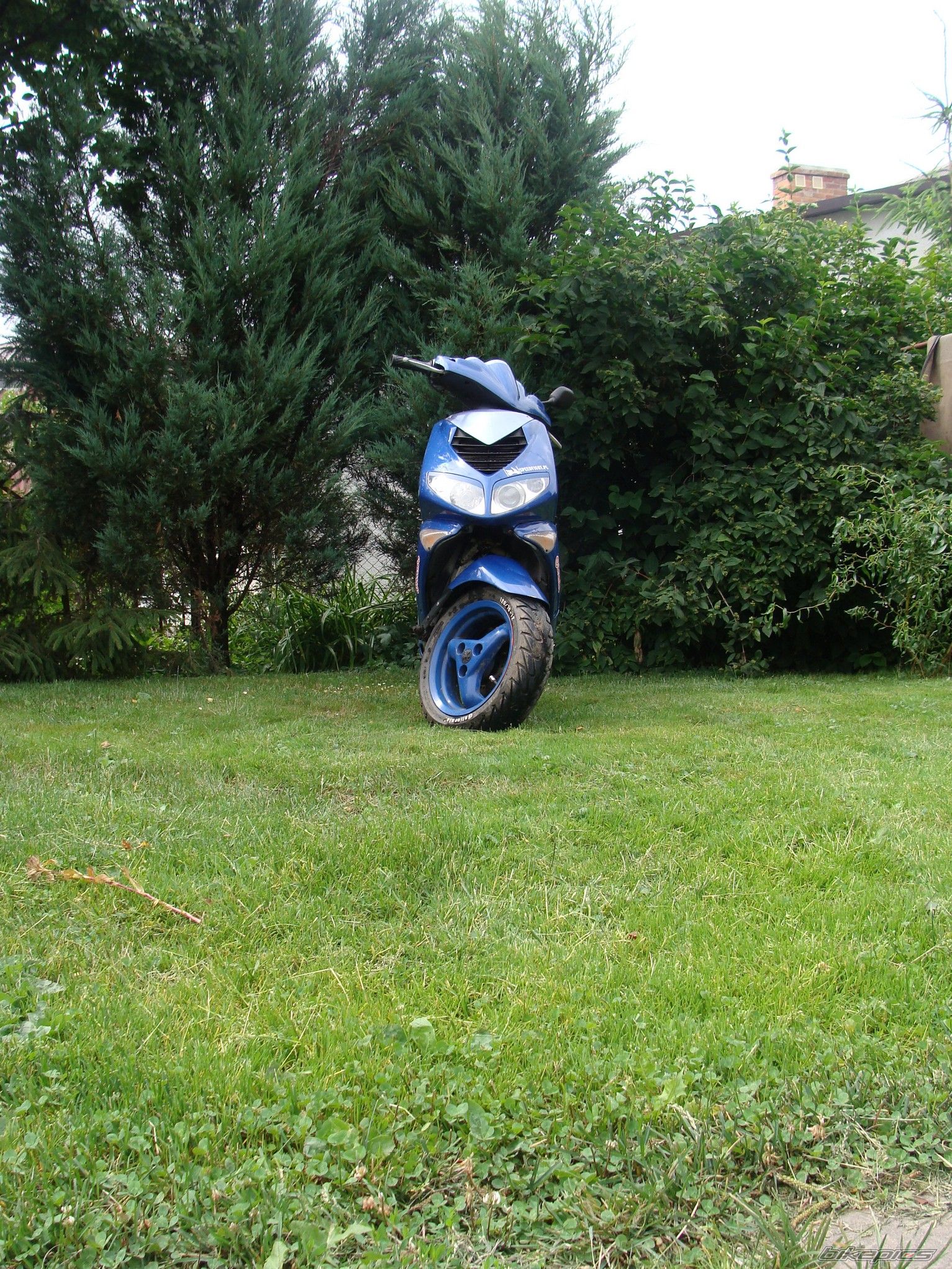 Photo 1361523
