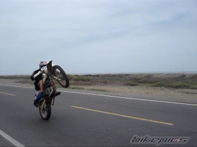 Photo 1361652