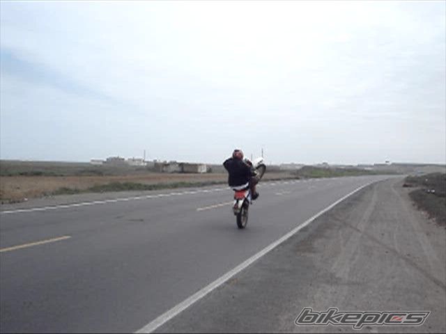 Photo 1361653