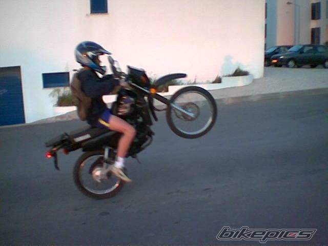 Photo 136167