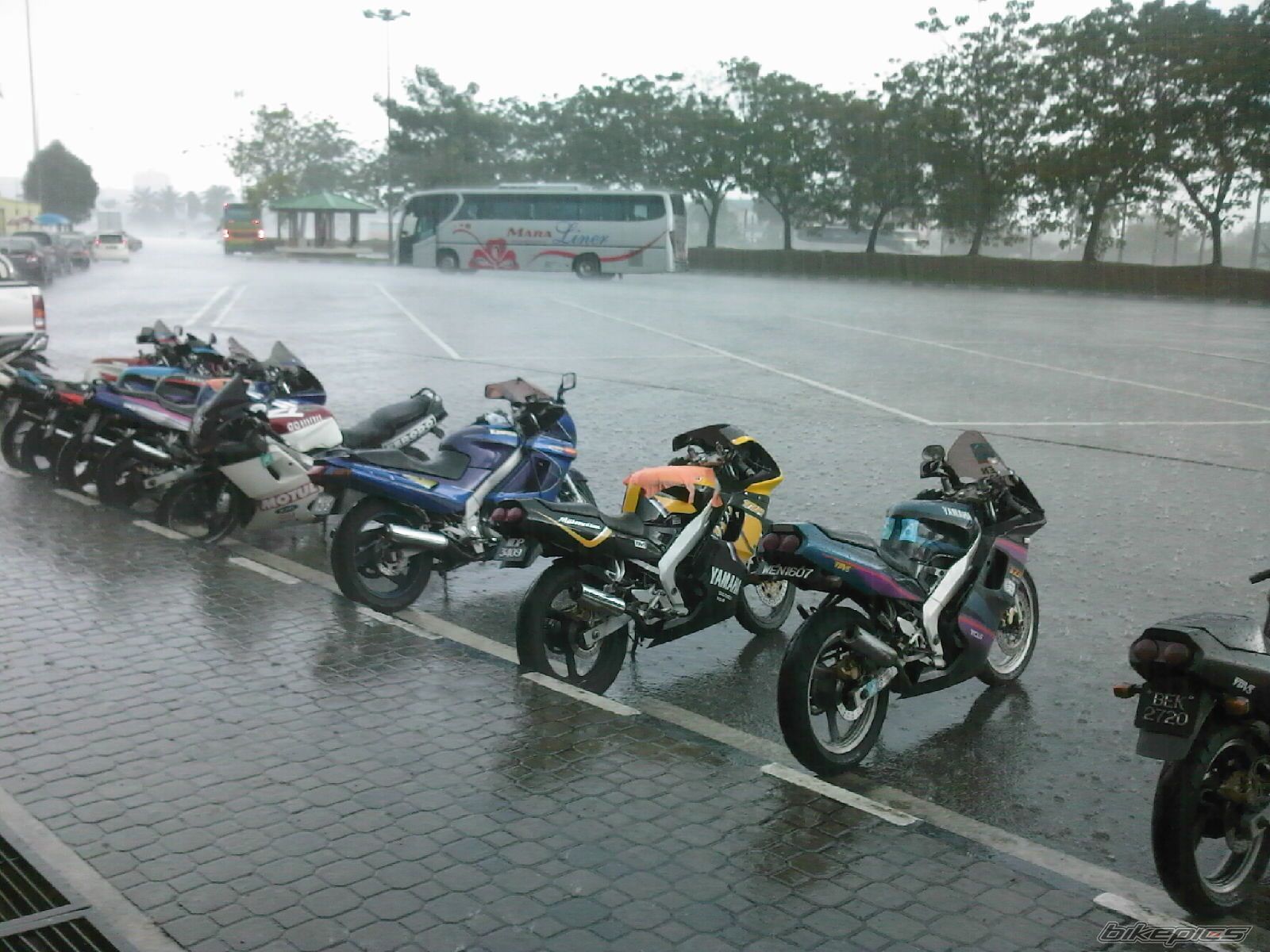 Photo 1361675