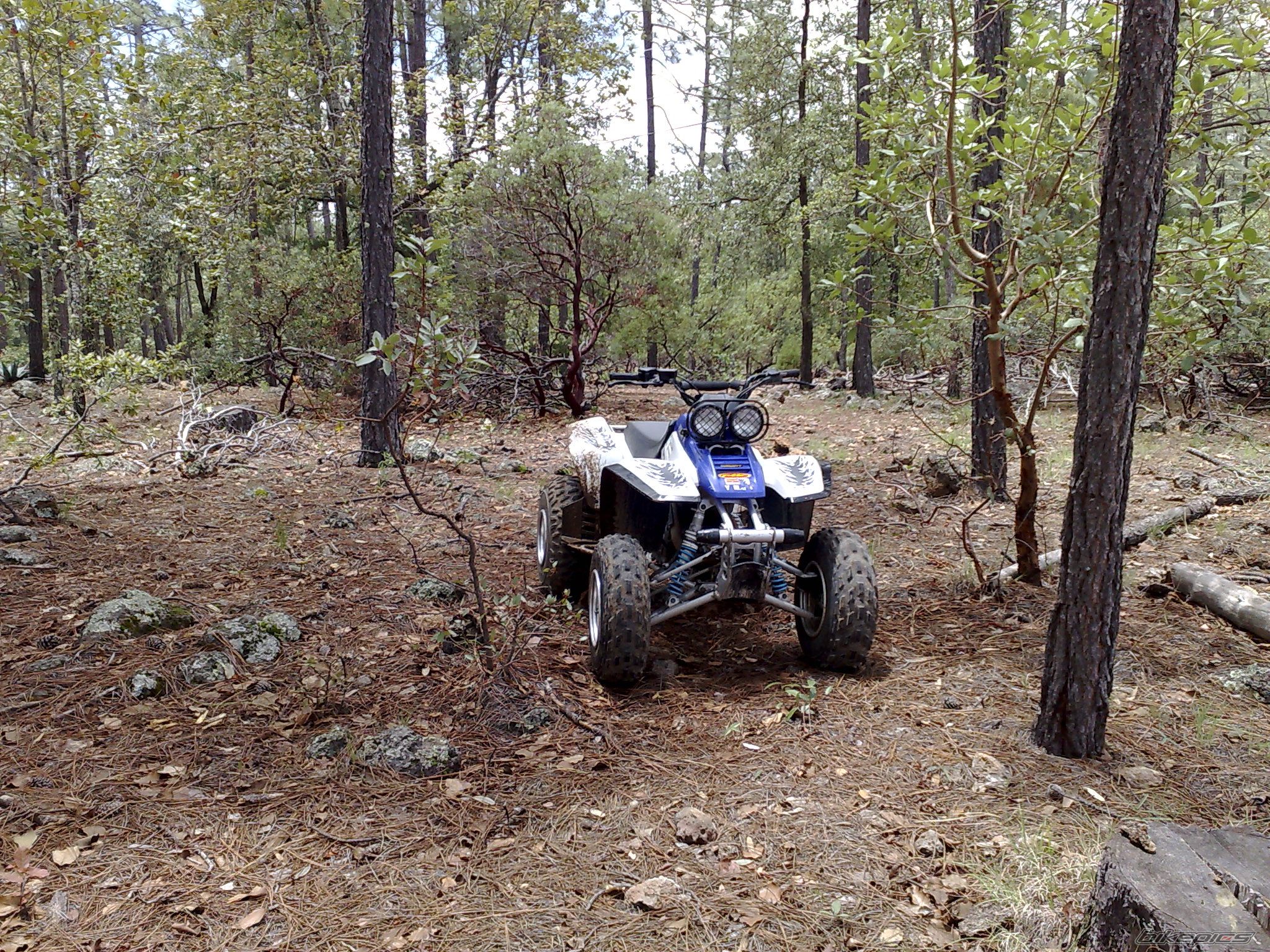 Bike Photo 1361683